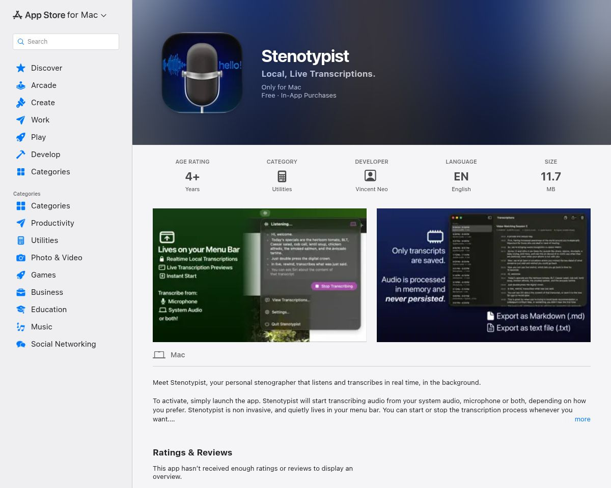 Stenotypist