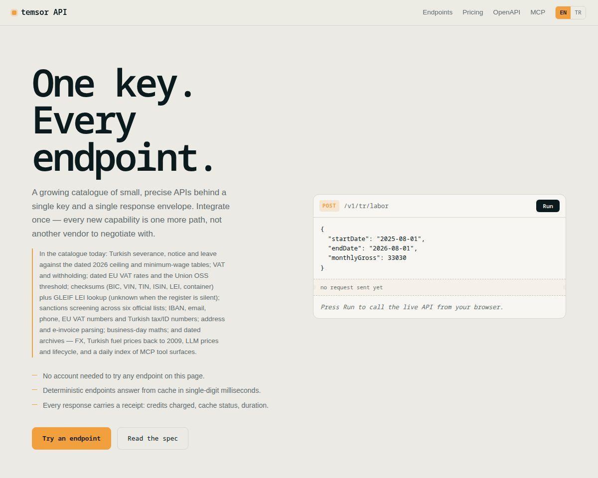 temsor API — one key, every endpoint