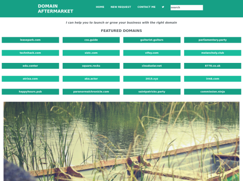 Domain-Aftermarket